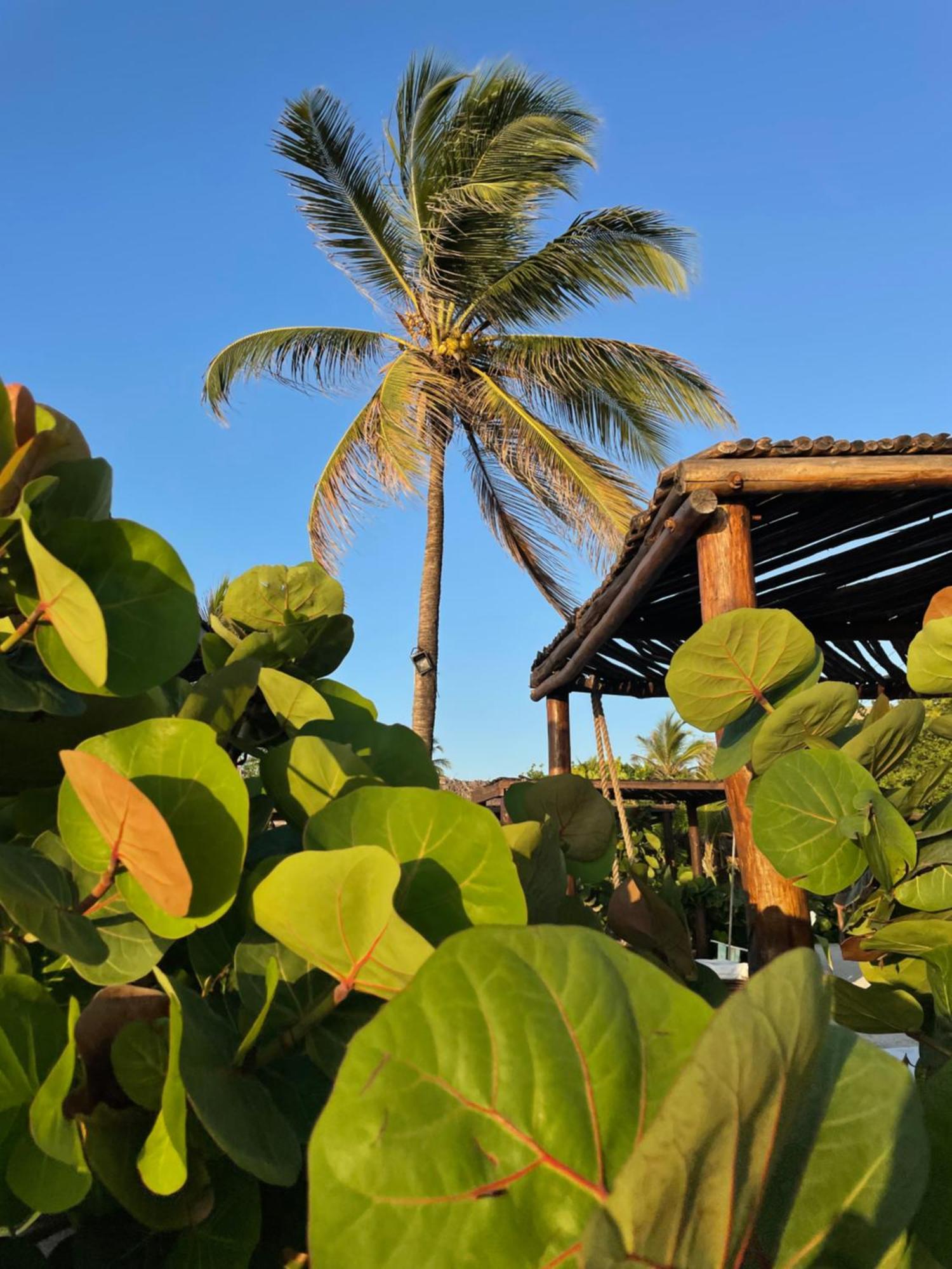Namaste Beach Club & Hotel Playa de Punta Arena Екстер'єр фото